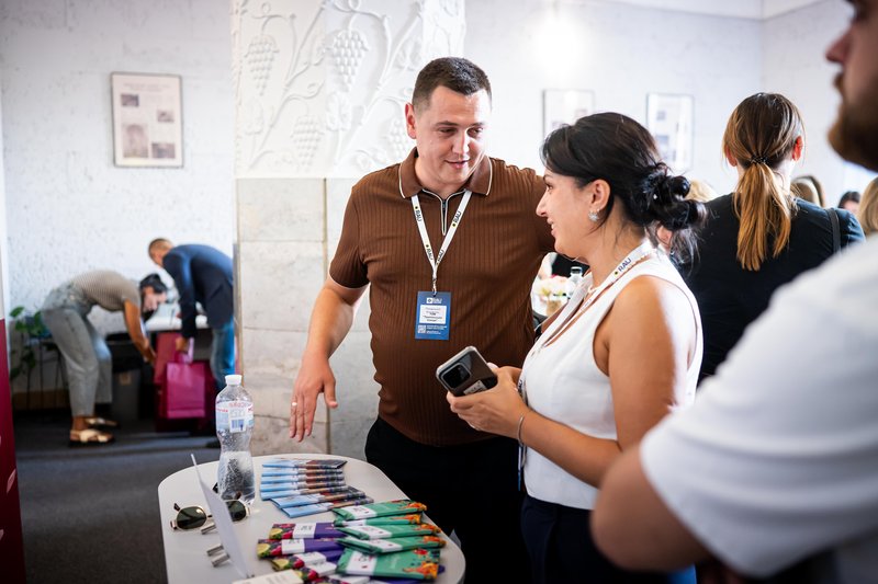Трипільське Сонце на RAU Workshop 2027